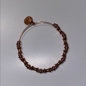 Alex and ani bangle